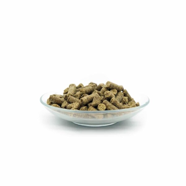 Bellfor Naturgut Schmaus Trockenfutter Hunde mit Insekten - mit hochwertigem Insektenprotein, ideal für gesunde und natürliche Ernährung. Jetzt bei barf-versand.ch erhältlich.