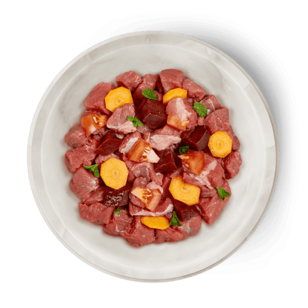 Terra Faelis Katzen Nassfutter Rind - mit hochwertigem Rindfleisch, ideal für gesunde und natürliche Ernährung. Jetzt bei barf-versand.ch erhältlich.